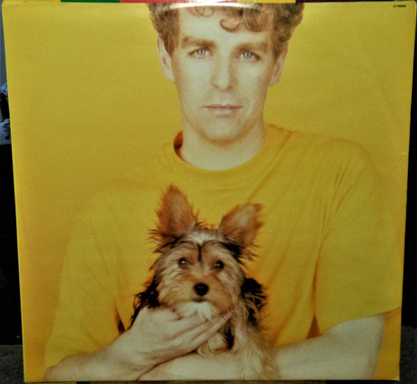 Pet Shop Boys : Introspective (LP, Album, Spe)