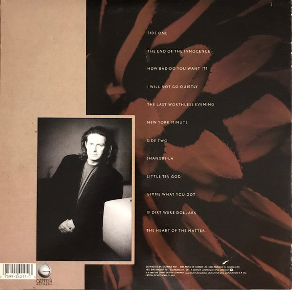 Don Henley : The End Of The Innocence (LP, Album)