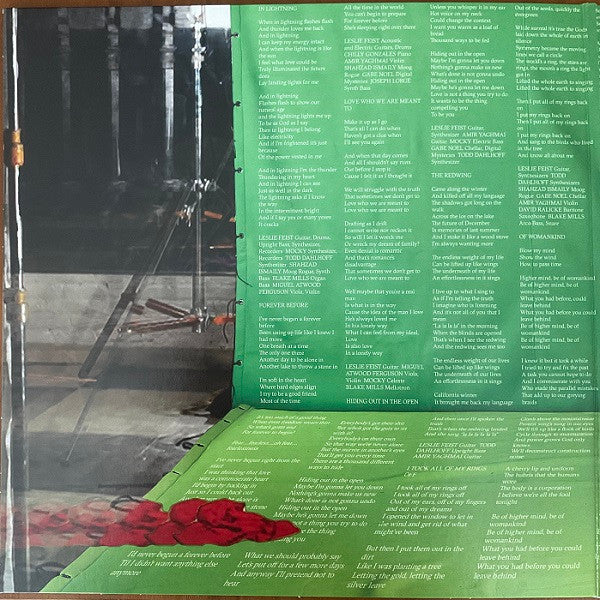 Feist : Multitudes (LP, Album, Cle)