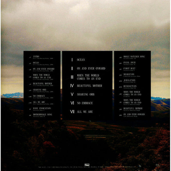 Dirty Projectors + Björk : Mount Wittenberg Orca (12", EP, RE, Dar + LP, Dar + RSD, Ltd, Exp)