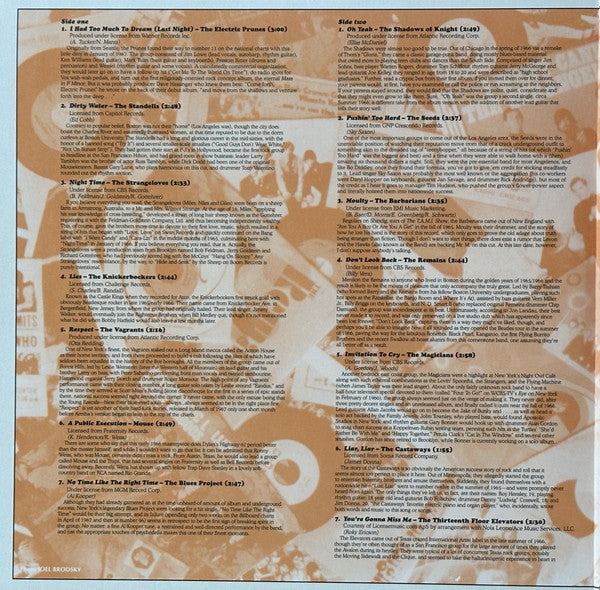 Various : Nuggets (Original Artyfacts From The First Psychedelic Era) (50th Anniversary) (Box, RSD, Comp, 50t + 2xLP, Album, Comp, Mono, RE )