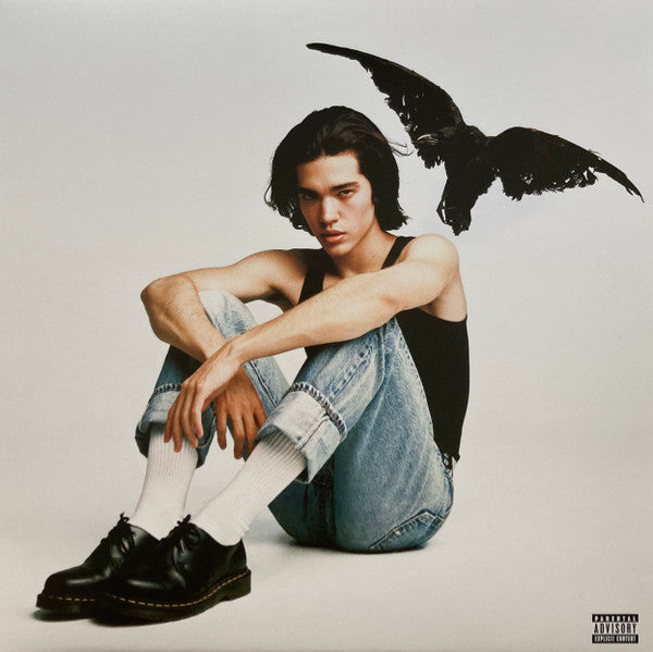 Conan Gray : Kid Krow (LP, Album)