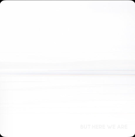 Foo Fighters : But Here We Are (LP, Album)