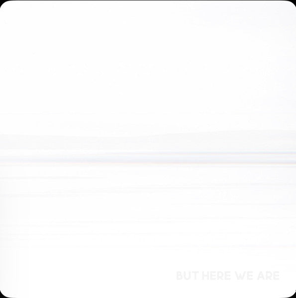 Foo Fighters : But Here We Are (LP, Album)