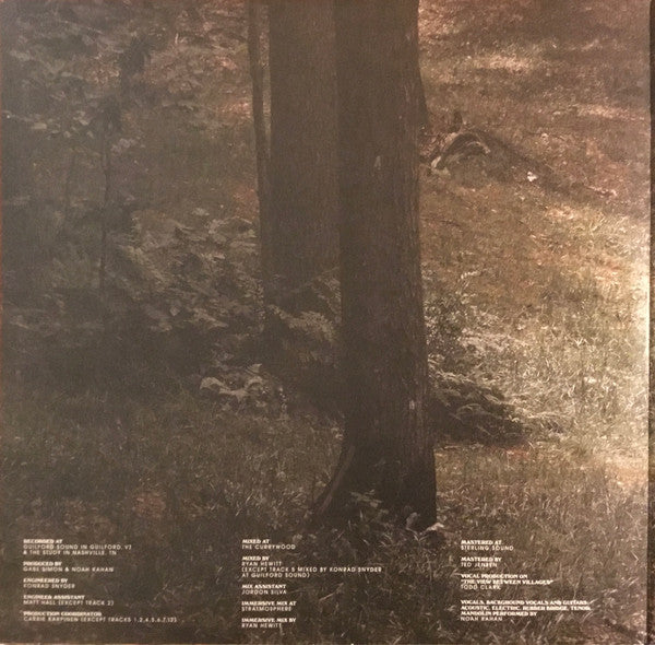 Noah Kahan : Stick Season (2xLP, Album)