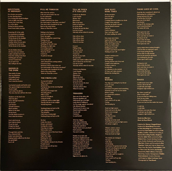 Royal Blood (6) : Back To The Water Below (LP, Album)