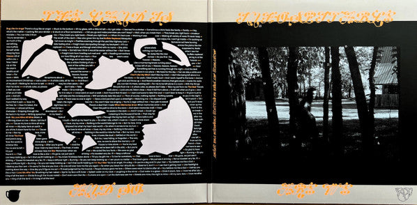 Mitski : The Land Is Inhospitable And So Are We (LP, Album, Ltd, Blu)