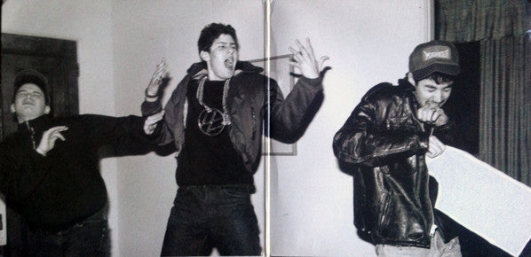 Beastie Boys : Solid Gold Hits (2xLP, Comp, 180)