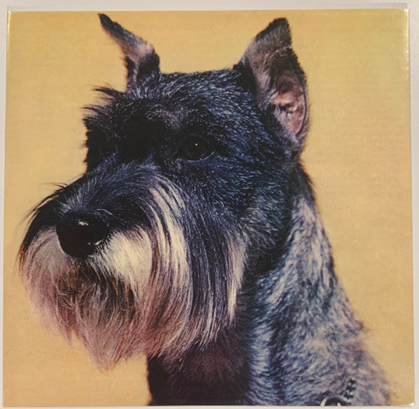 Ty Segall : Goodbye Bread (LP, Album)