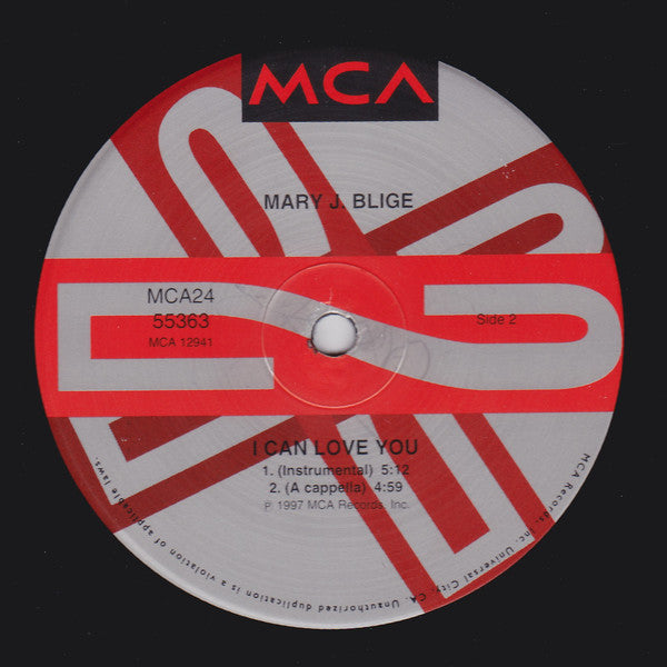 Mary J. Blige : I Can Love You (2x12")