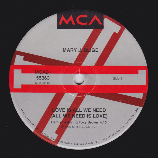 Mary J. Blige : I Can Love You (2x12")