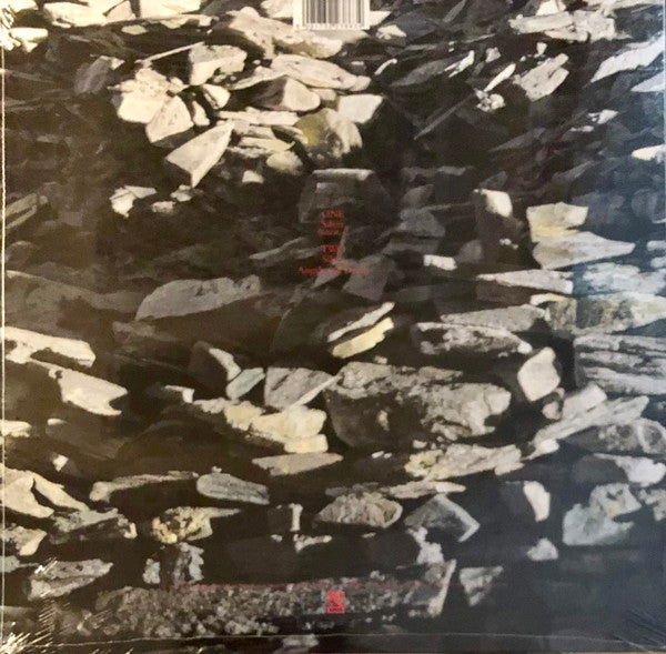 Echo & The Bunnymen : Silver (Tidal Wave) (12", RSD, Single, Ltd, RE, 40t)