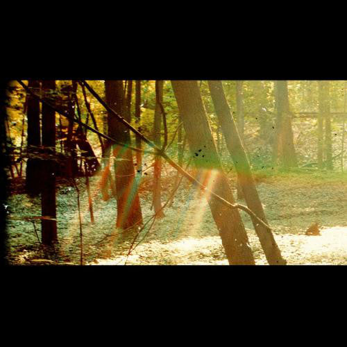Childish Gambino : Camp (2xLP, Album, Ltd, 180)