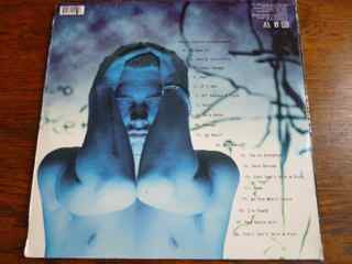 Eminem : The Slim Shady LP (2xLP, Album, Bla)