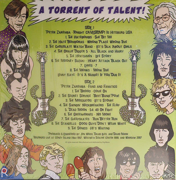 Various : Cavestomp! The Garage Rock Festacular! Presents A Torrent Of Talent! Volume One! (LP, RSD, Ltd)