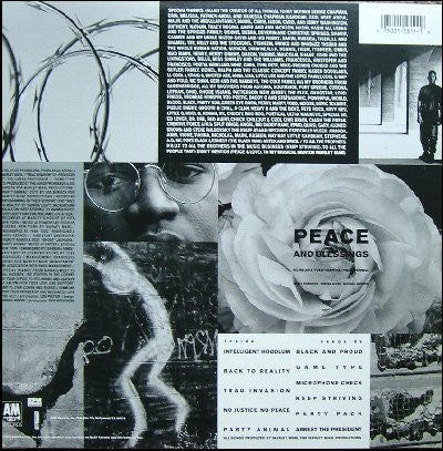 Intelligent Hoodlum : Intelligent Hoodlum (LP, Album)