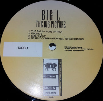 Big L : The Big Picture (2xLP, Album, Promo)