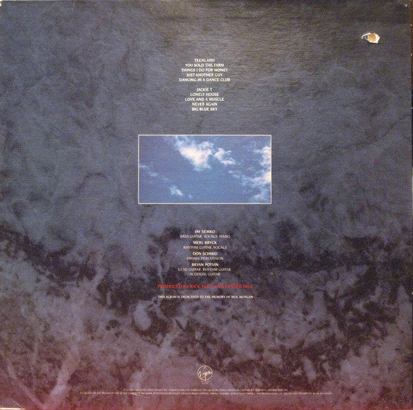 The Northern Pikes : Big Blue Sky (LP, Album, Blu)