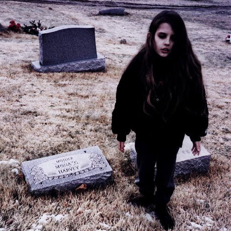Crystal Castles : Crystal Castles (2xLP, Gat)