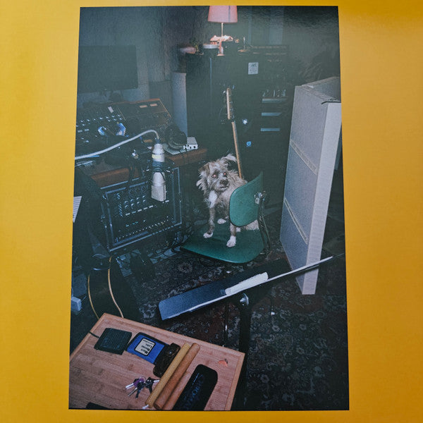 Mac Demarco : Guitar (LP, Album, Ltd, Opa)