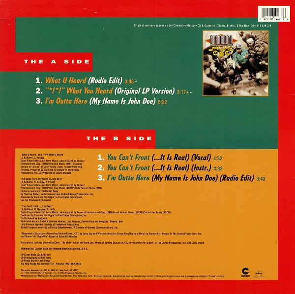 Diamond D And The Psychotic Neurotics : What U Heard (12", Single)