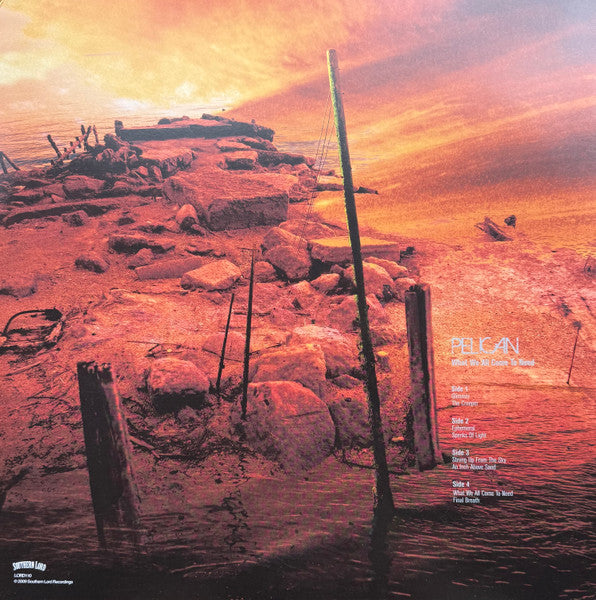 Pelican (2) : What We All Come To Need / Ephemeral (2xLP, Album, RSD, Ltd, RP, Gre + LP, EP, RSD, RP,)