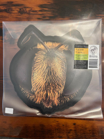 King Gizzard And The Lizard Wizard : Big Fig Wasp (12", Shape, RSD, Bee)