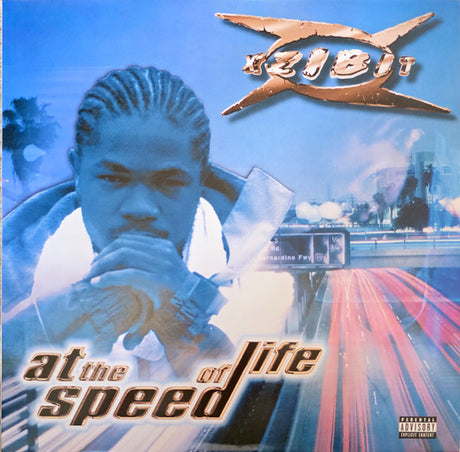 Xzibit : At The Speed Of Life (2xLP, Album, RSD, Ltd, RE)