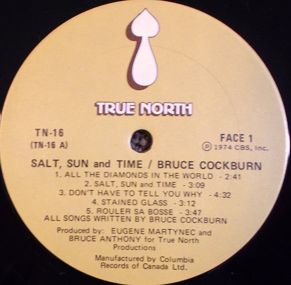 Bruce Cockburn : Salt, Sun And Time (LP, Album, RE)