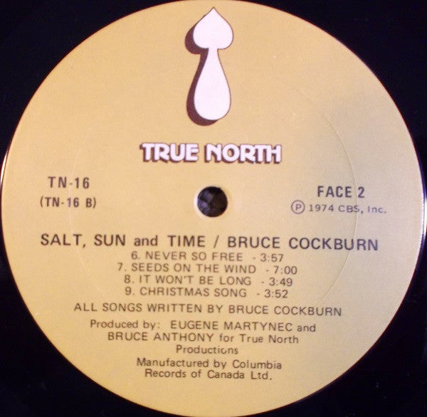 Bruce Cockburn : Salt, Sun And Time (LP, Album, RE)