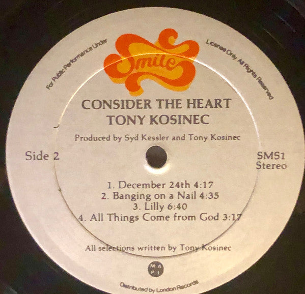 Tony Kosinec : Consider The Heart (LP, Album)