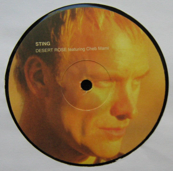 Sting Featuring Cheb Mami : Desert Rose (12")