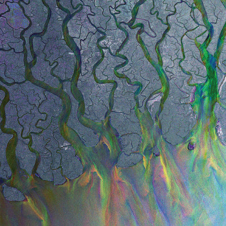 Alt-J : An Awesome Wave (LP, Album, Gat)