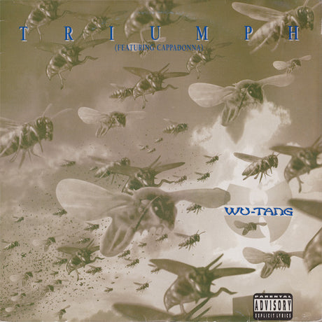 Wu-Tang Clan , Featuring Cappadonna : Triumph (12", Single)