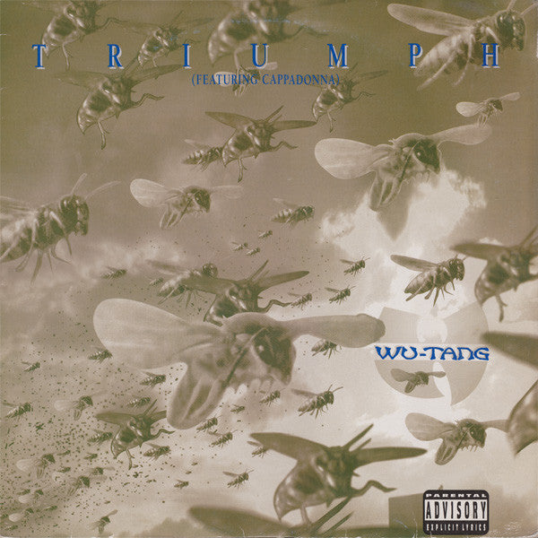 Wu-Tang Clan , Featuring Cappadonna : Triumph (12", Single)