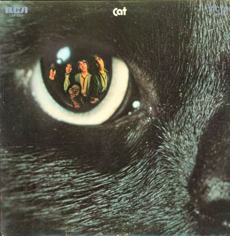 Cat (13) : Cat (LP, Album)