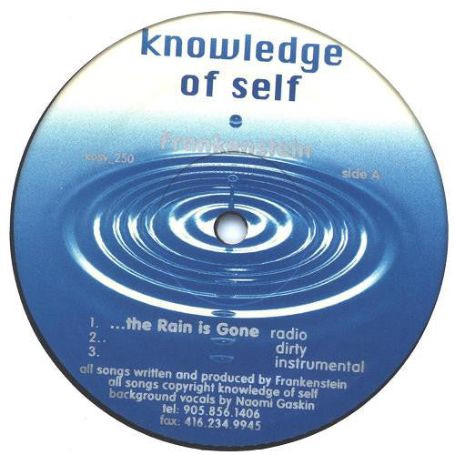 Frankenstein : The Rain Is Gone (12")