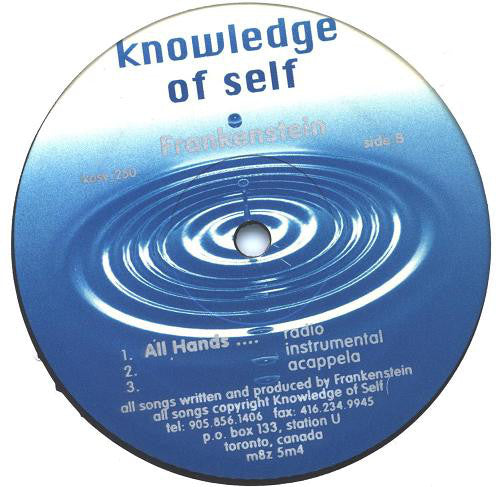 Frankenstein : The Rain Is Gone (12")