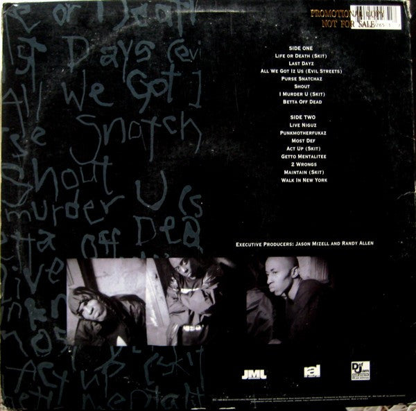 Onyx : All We Got Iz Us (LP, Album)