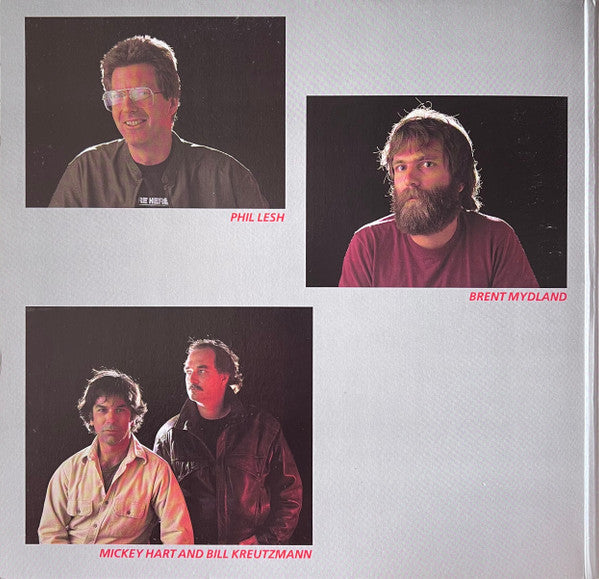 The Grateful Dead : In The Dark (LP, Album, No )