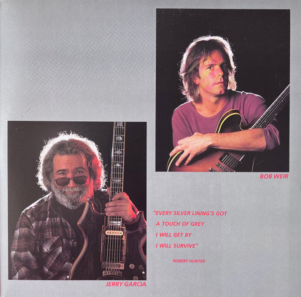 The Grateful Dead : In The Dark (LP, Album, No )