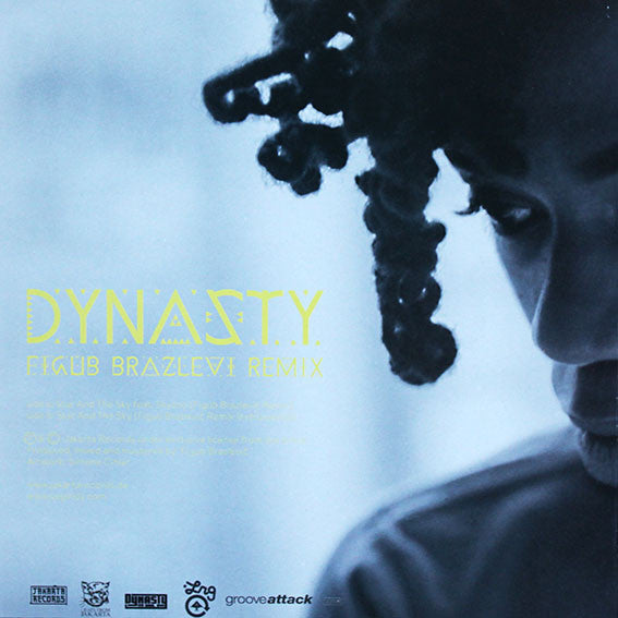 Dynasty (20) : A Star In Life's Clothing (LP, Album + 7", Single + Ltd, Del)