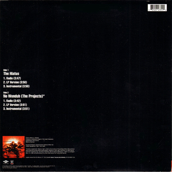 Diamond D : The Hiatus (12")