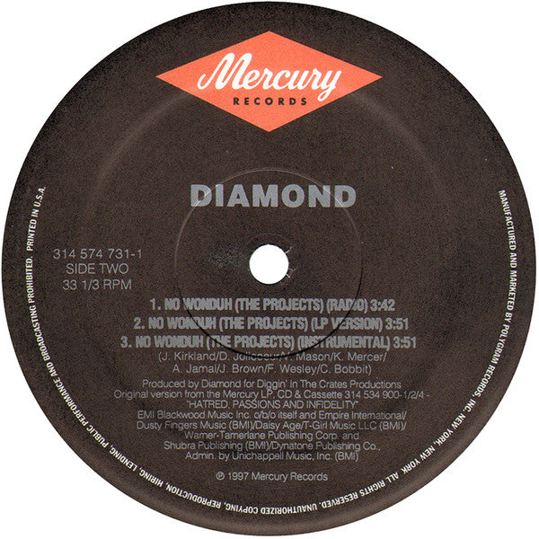Diamond D : The Hiatus (12")