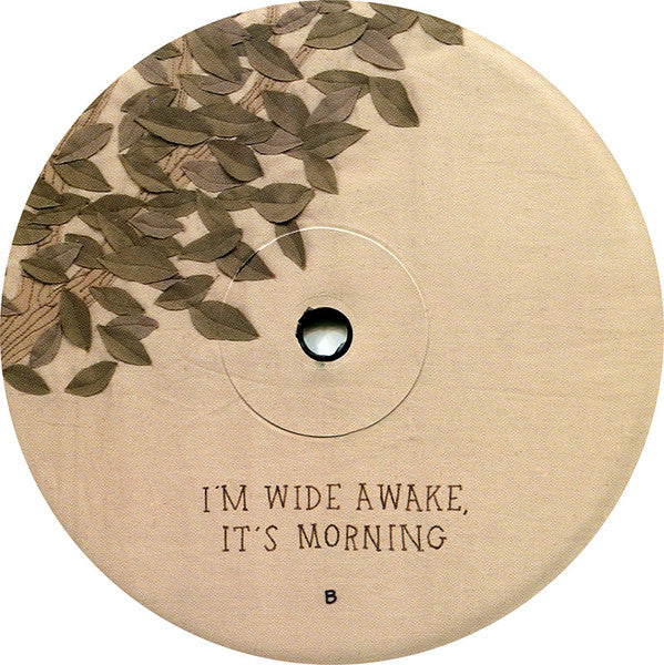 Bright Eyes : I'm Wide Awake, It's Morning (LP, Album, 180)