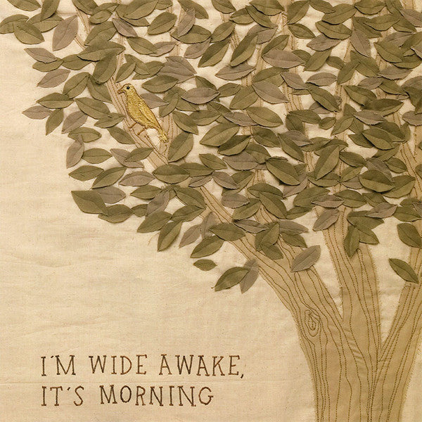 Bright Eyes : I'm Wide Awake, It's Morning (LP, Album, 180)