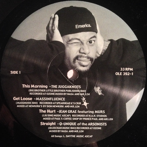 Mr. Len : Pity The Fool (Experiments In Therapy Behind The Mask Of Music While Handing Out Dummysmacks) (2xLP, Album)