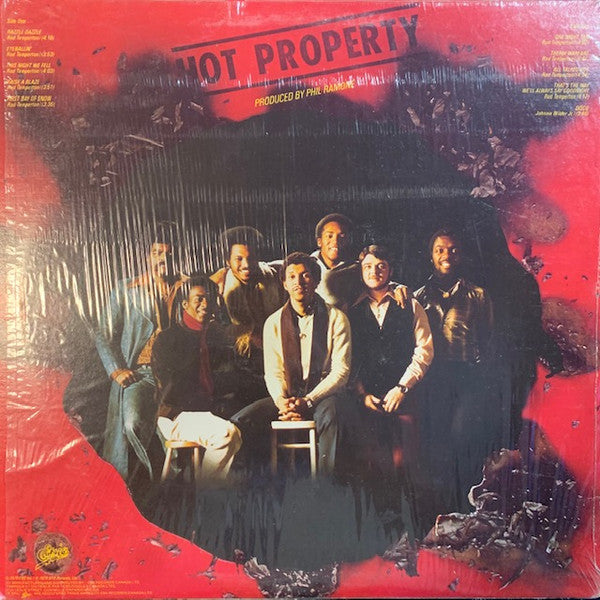 Heatwave : Hot Property (LP, Album)