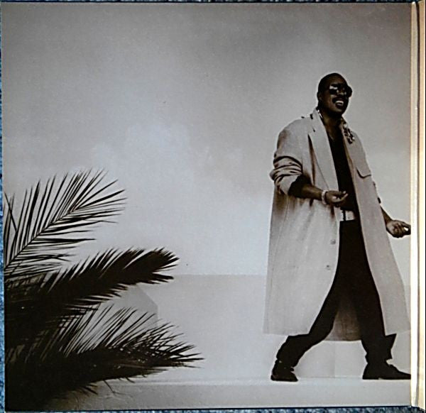 Stevie Wonder : In Square Circle (LP, Album, Emb)