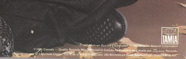 Stevie Wonder : In Square Circle (LP, Album, Emb)